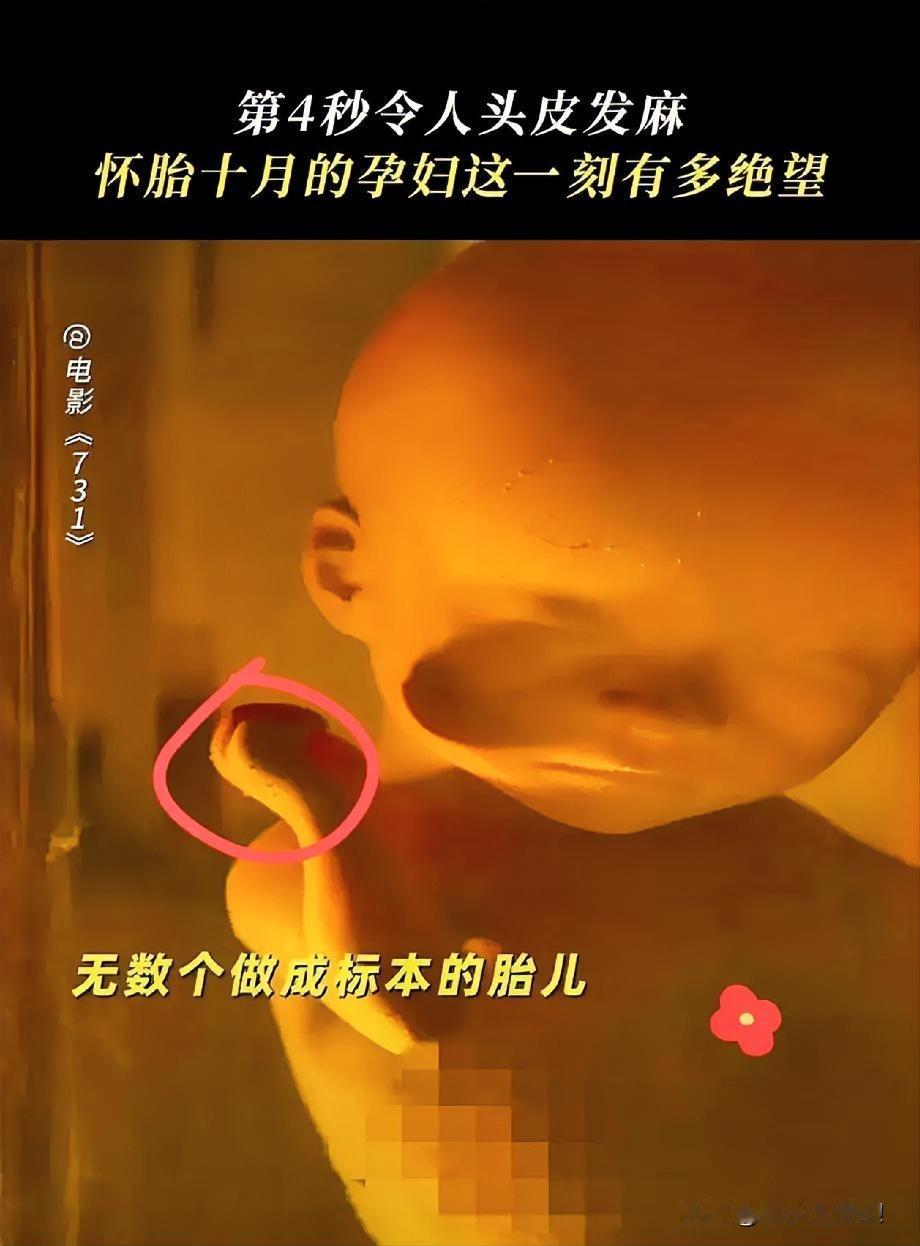 《731》电影刚看完，不知道有没有其他男生和我一样，建议还是不要和女朋友一起