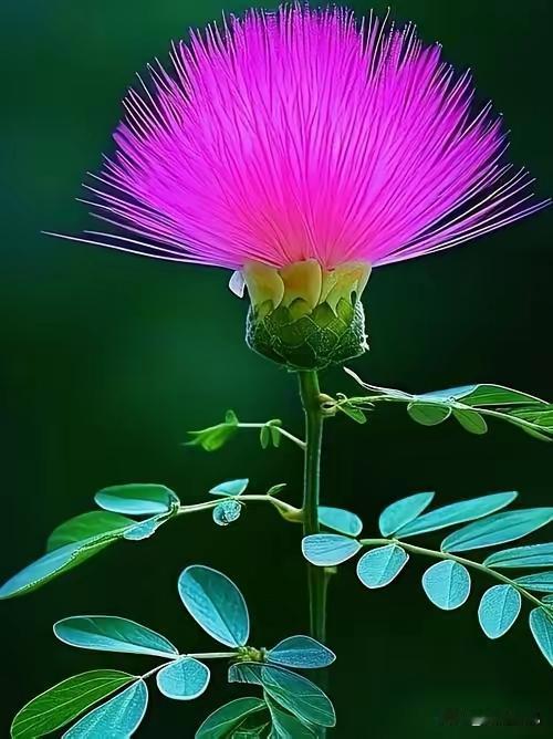 什么是内耗型人格？1.脸皮薄的人。2.太较真的人，3.没主见太纠结的人，