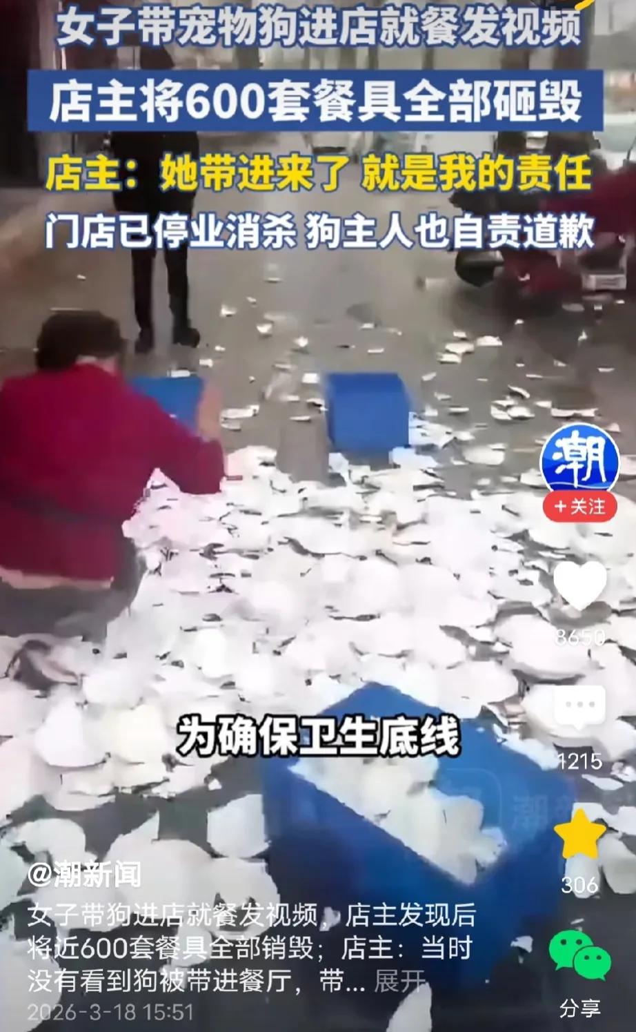 河南商丘，女子带宠物狗到饭店吃饭，还让狗狗直接爬上餐桌，对着饭碗舔食。随后拍视频