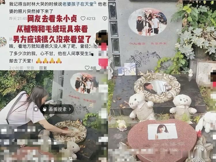 林生斌近况扎心，坟头草老高了，人家在澳洲早就儿女双全了。说实话，看到林生斌现在