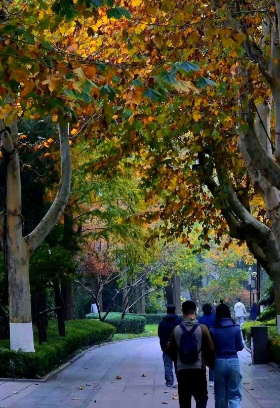 不管你信不信，只要一个男人和一个中年女人发生了说不清道不明的关系，这俩人成了所谓