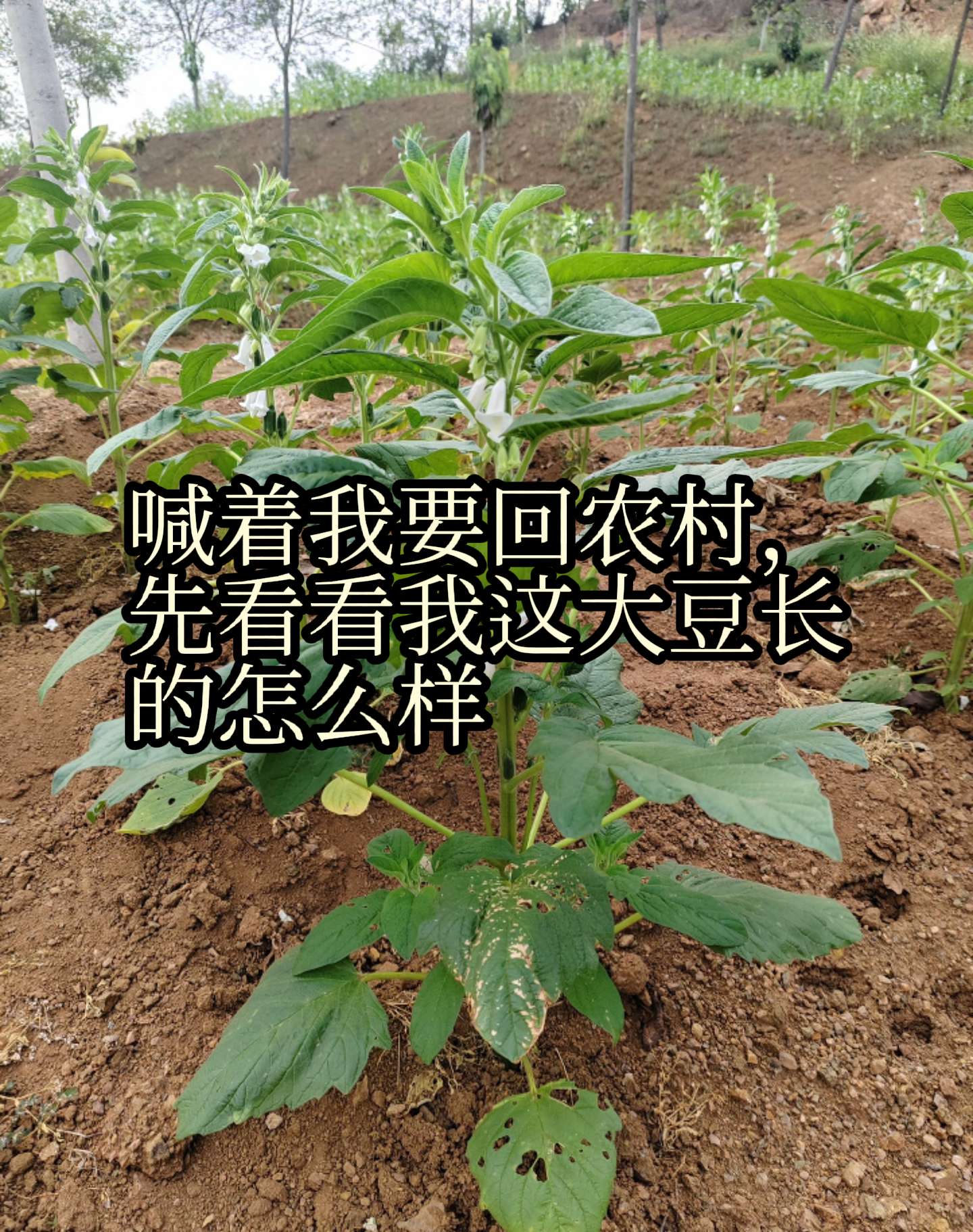 别动不动的城市套路深，岂不知农村路更滑