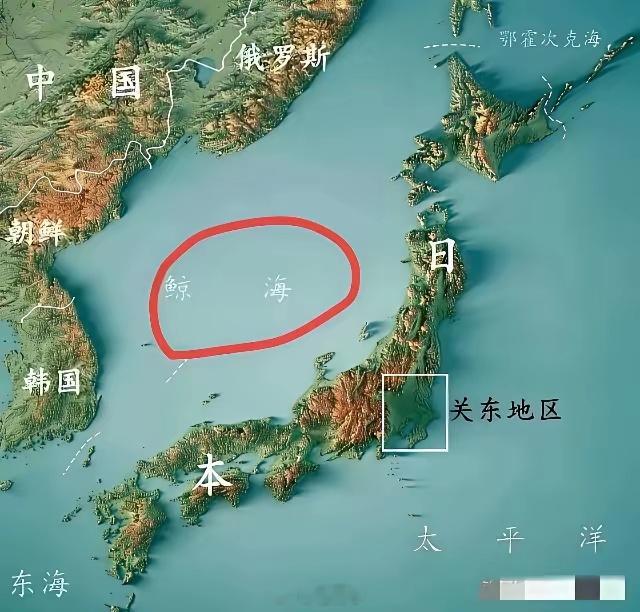 有人把日本地图绘画成这样，还沾沾自喜的说它很像一条龙。我看后笑了，即便它是一条龙