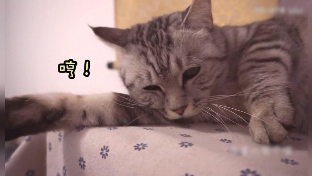 17913512894969741045.jpg?id=0