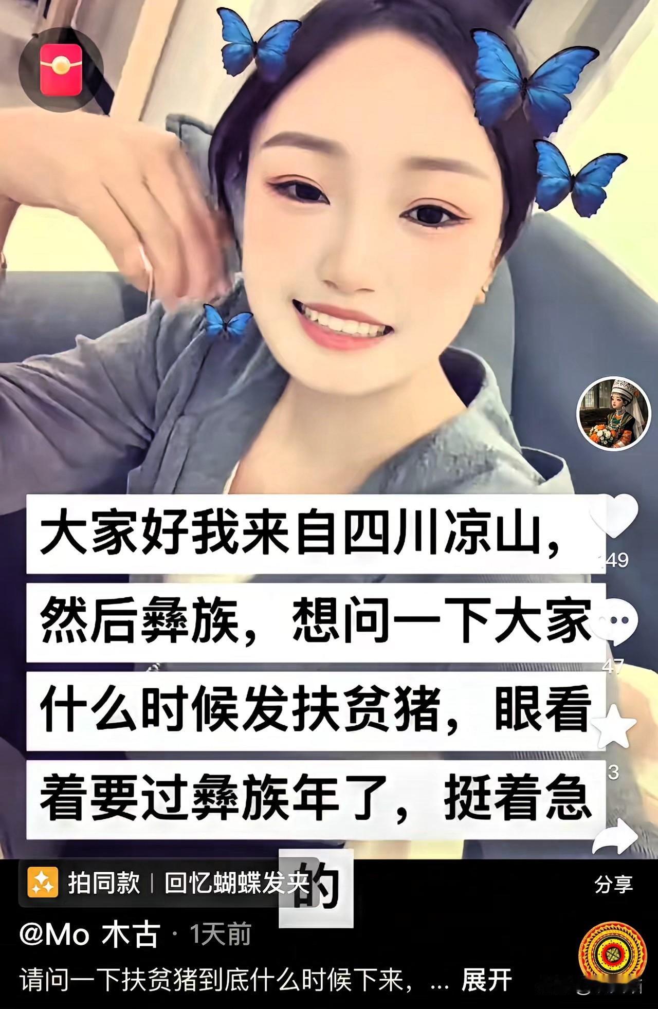 看到彝族博主那句“等着扶贫猪过彝族年”，心里突然被戳了一下。当生存需求撞上长远