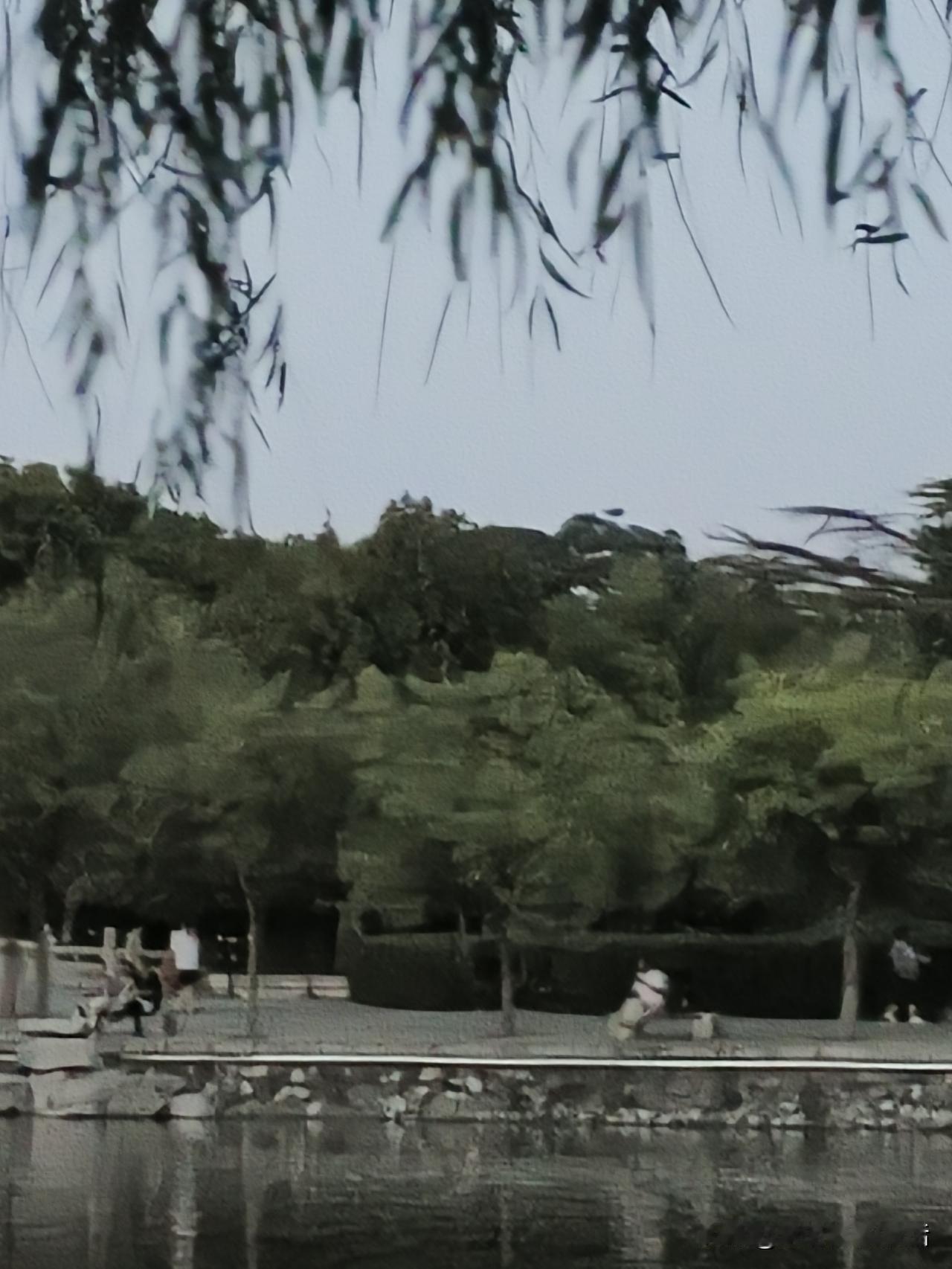 公园里有人在河边散步，景色真美。散步美景随手拍公园治愈系美景
