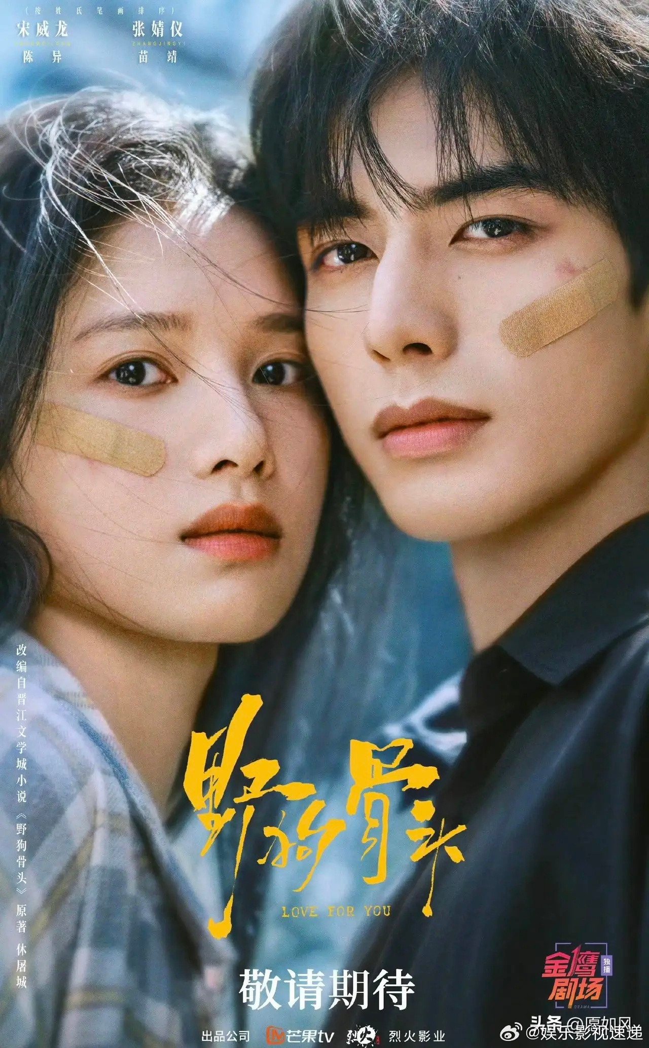 为捧《野狗骨头》而抑制《骄阳似我》宣发了这么久终于要播了就看看有没有《骄阳似我
