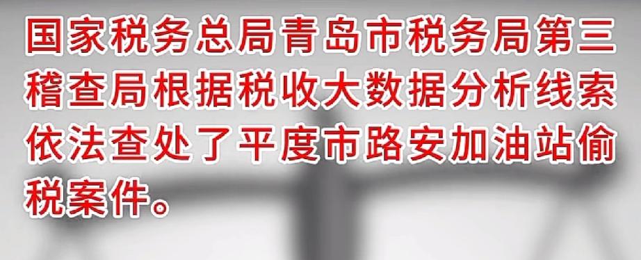 冬日生活打卡季近日，国家税务总局青岛市税务局第三稽查局依法查处了青岛平度市路安加