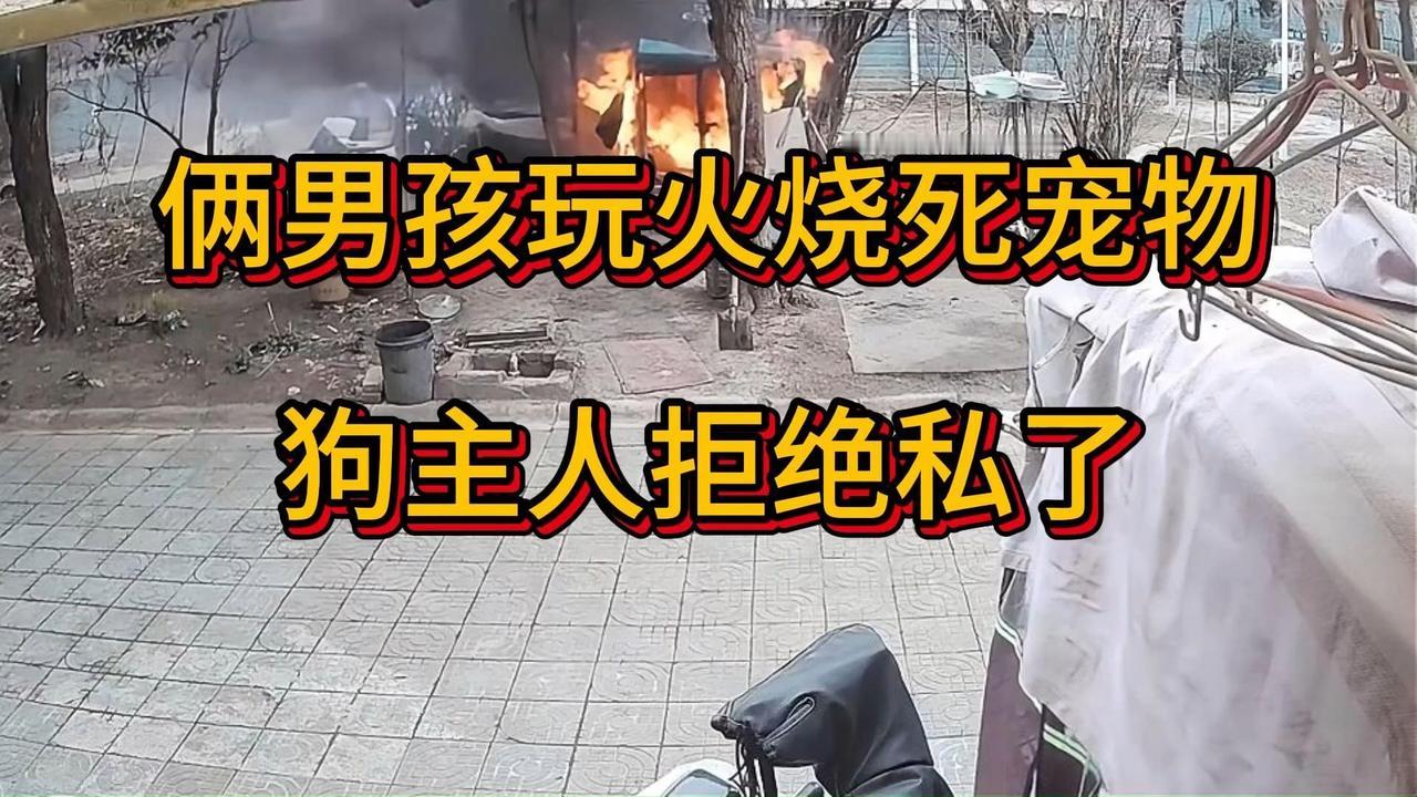 江苏连云港东海县，一条笼中宠物狗被两名男孩点火致死，家属愿赔6000元或换狗私了