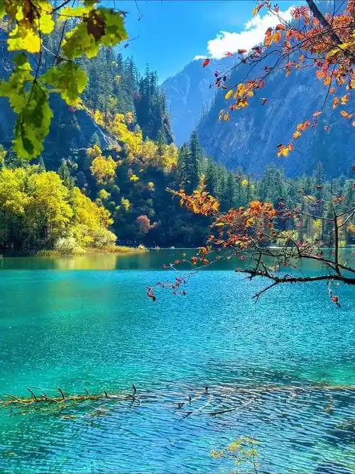 出国旅游时，地下中介可太坑人了。他们常利用信息差制造“超低价”，在社交平台和二手