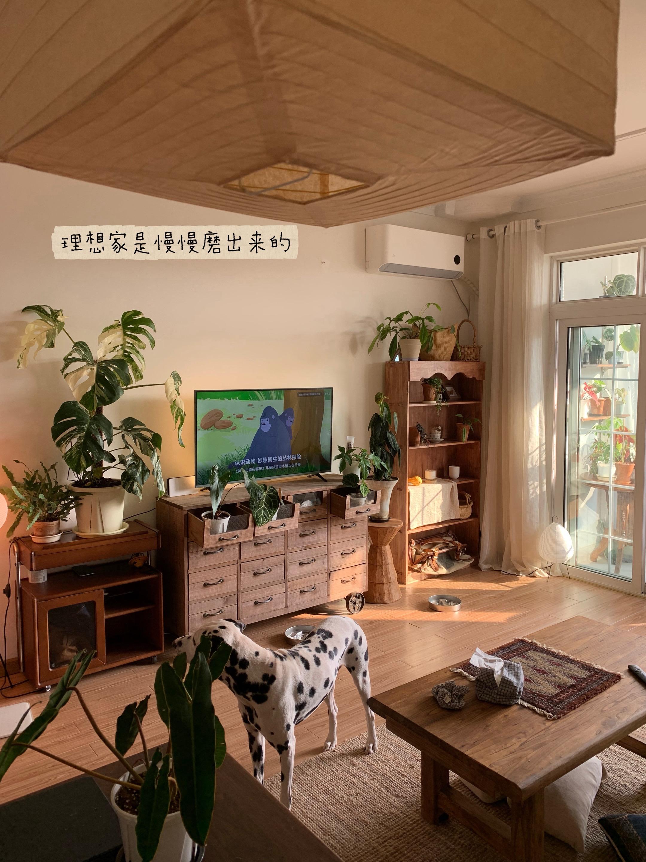 养人的房子像个温暖的容器。养人的房子，并不仅仅是昂贵的豪宅，而是一个能...