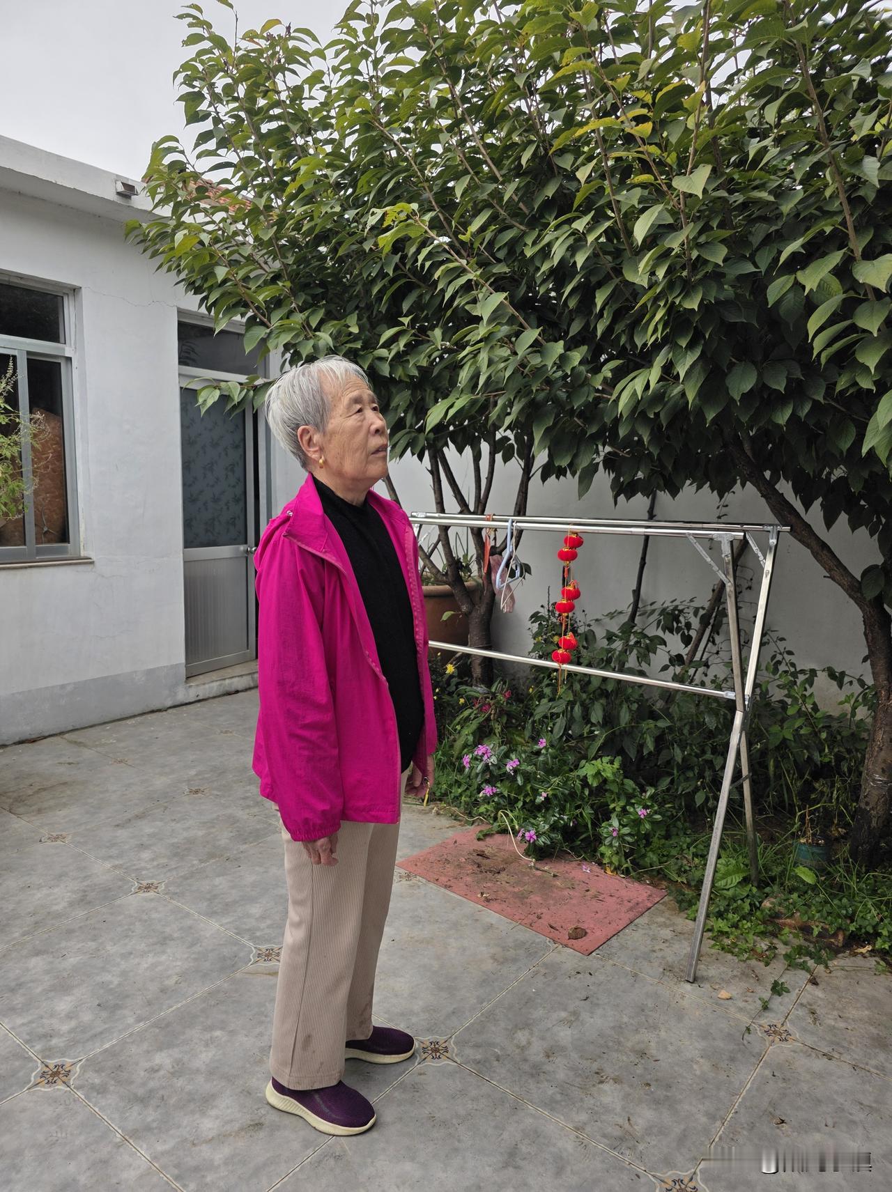 回到村里，老母亲立马就变了一个人……在城里早上都是八点起床，回到村里六点起床