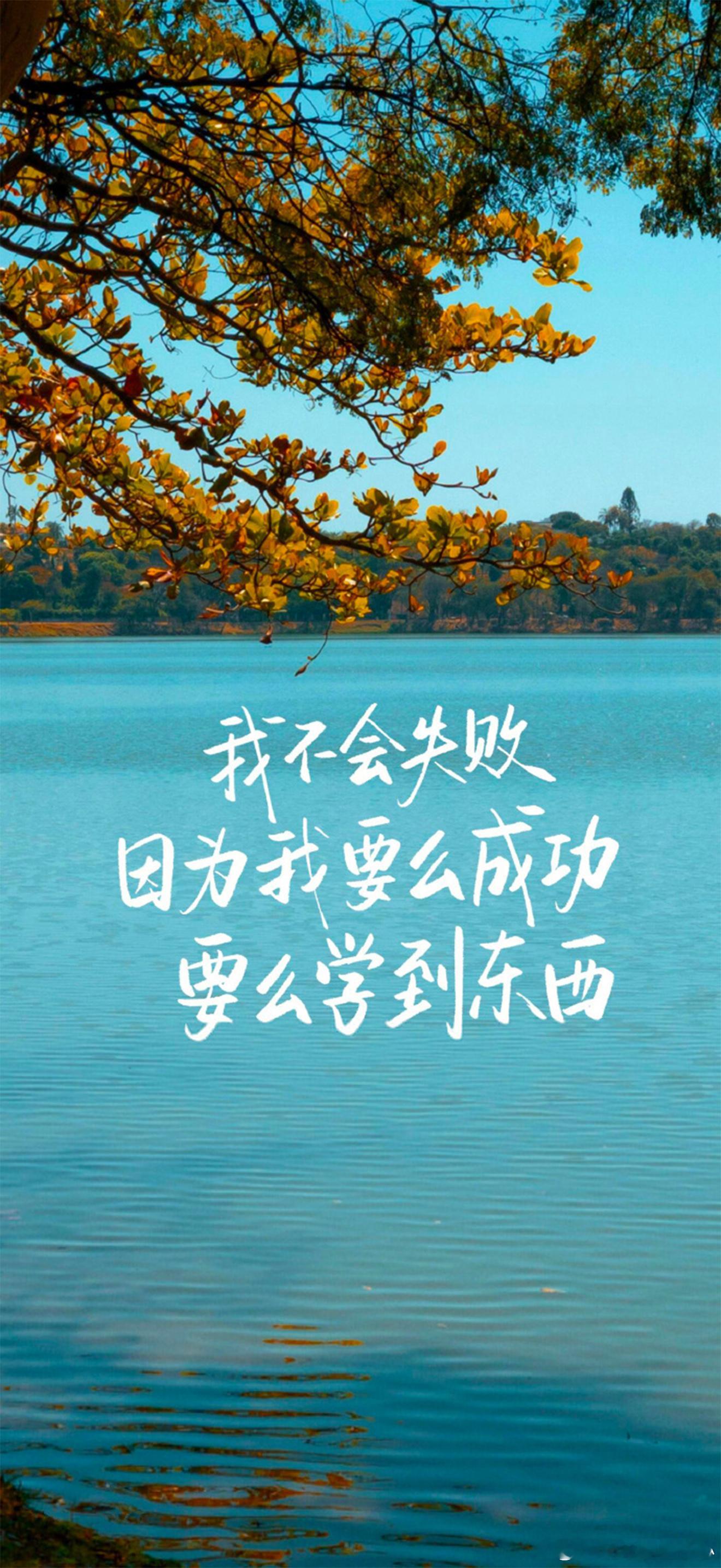 ✨身弱野心家，你要尽快成为不吃压力之人命理中，身弱之人最怕的一样东西，叫官杀。它
