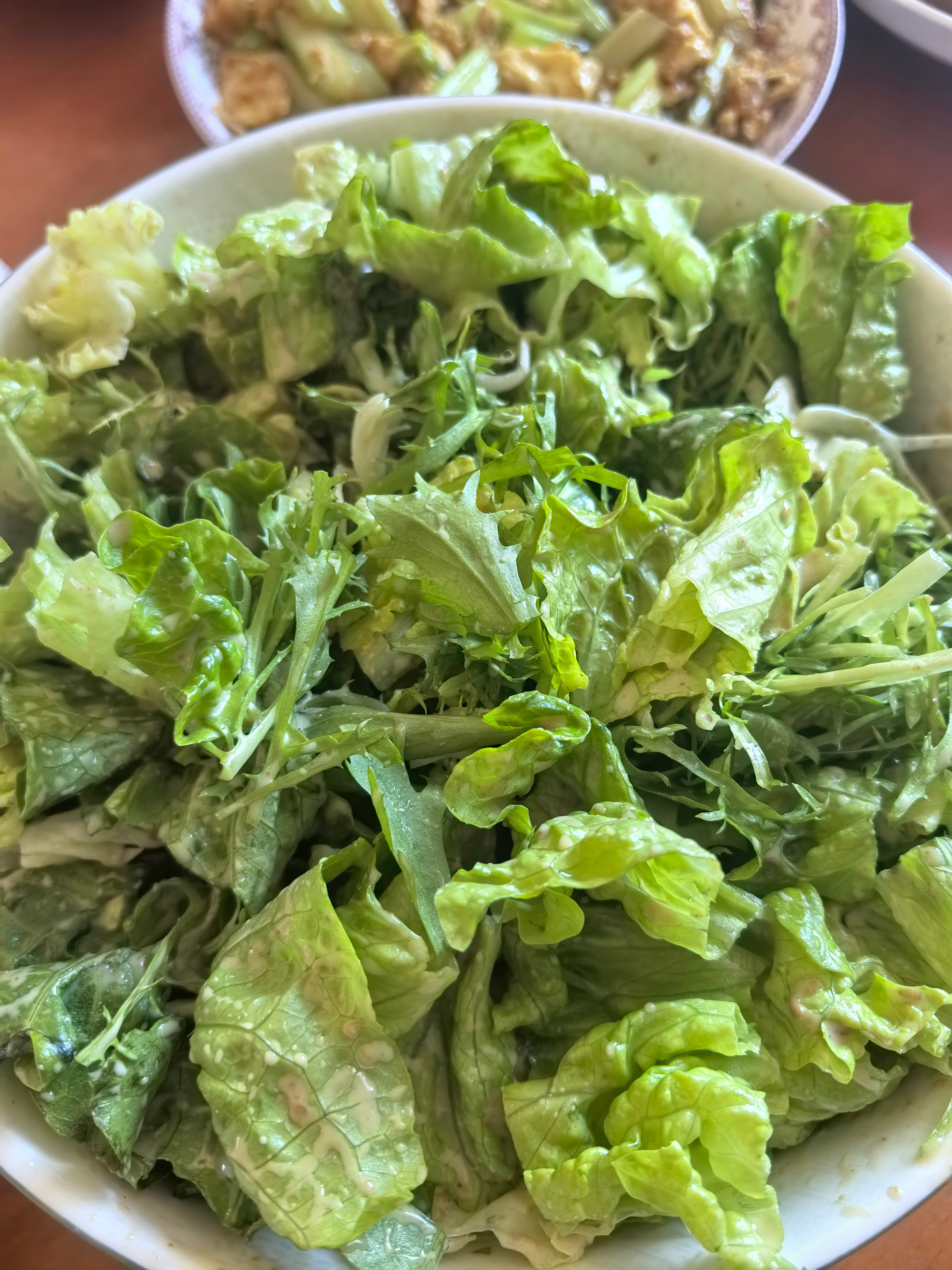 日常一个纯肉一个超素，午饭时间荤素搭配！