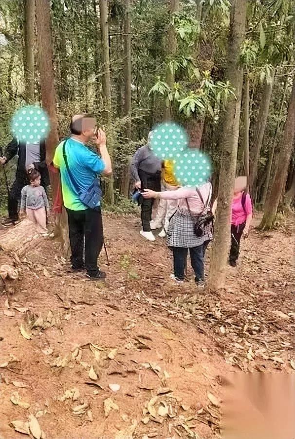 老人爬山被困反倒怼救援人员你猜他说啥离谱话？几个南昌老人结伴爬老四坡