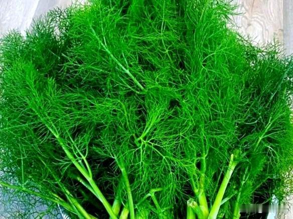 闺蜜家包的饺子，真是世上少有！我们当地人都喜欢吃饺子，我闺蜜的家更是三天一大饺