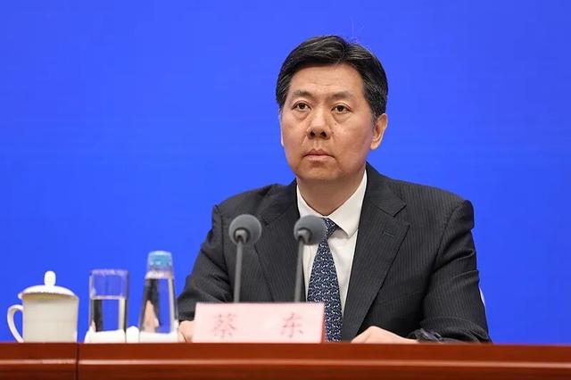 蔡东, 辞去吉林省副省长职务