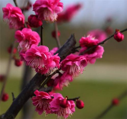 周五成交量已逾3.1万亿，不过从沪指量价关系而言，并无异样。有色与Ai+双向放量