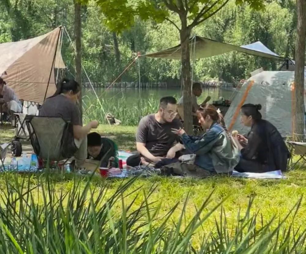 宋丹丹是真有钱，自己晚年不用带2个孙子，直接出钱让儿子儿媳雇保姆，宋丹丹的儿子儿