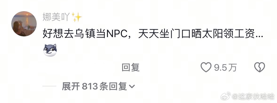 对乌镇有了新的认知