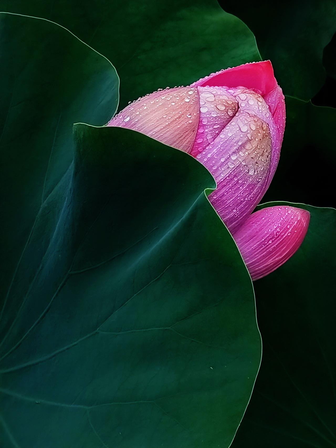 王阳明的“心外无物”真是充满了人生智慧。就像张敬之，曾被全镇嘲笑，却用拖延等问题