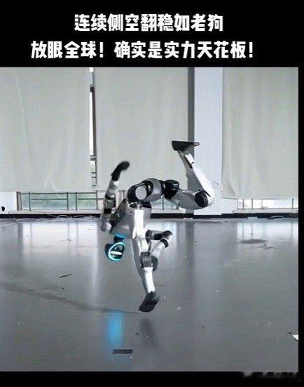 中国机器人占领全球端倪已经出现。信不信，十年后全球都是中国机器人。最近小鹏美女机