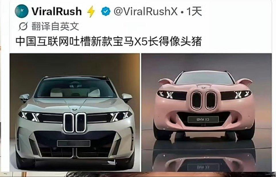 宝马这个前脸设计就是像猪鼻孔啊，国外难道没有猪吗？​
