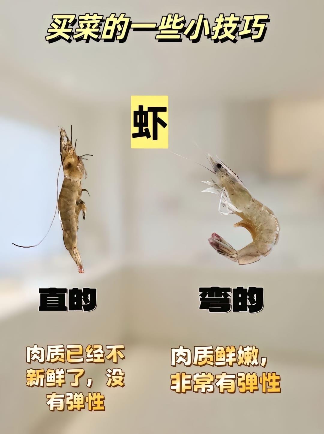 能在一秒内想出“佐助教”，博主也是个人才火影忍者佐助钓鱼离谱绝活哥鼬农