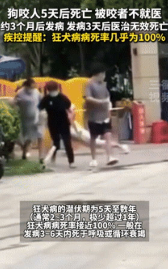 “省钱省出大事了！”广东，市民被狗咬伤后没打疫苗，不料，伤人犬竟在5天后死亡！医