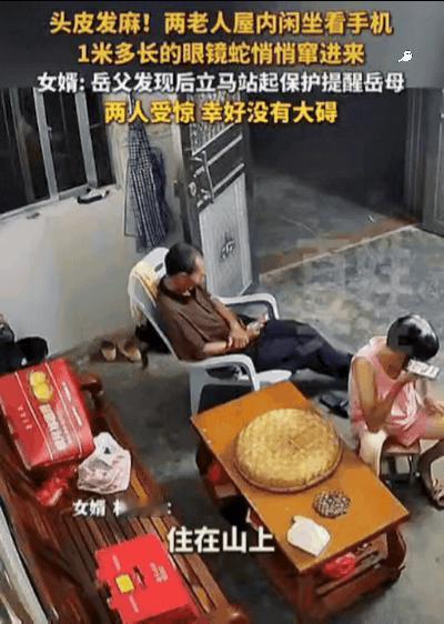 广东一老人在屋内玩手机，突然感觉身后有动静，他以为是老鼠，结果回头一看，竟然看到