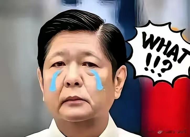 就在刚刚菲律宾正式宣布11月11日，菲律宾国家减灾管理委员会最新通报，台风“