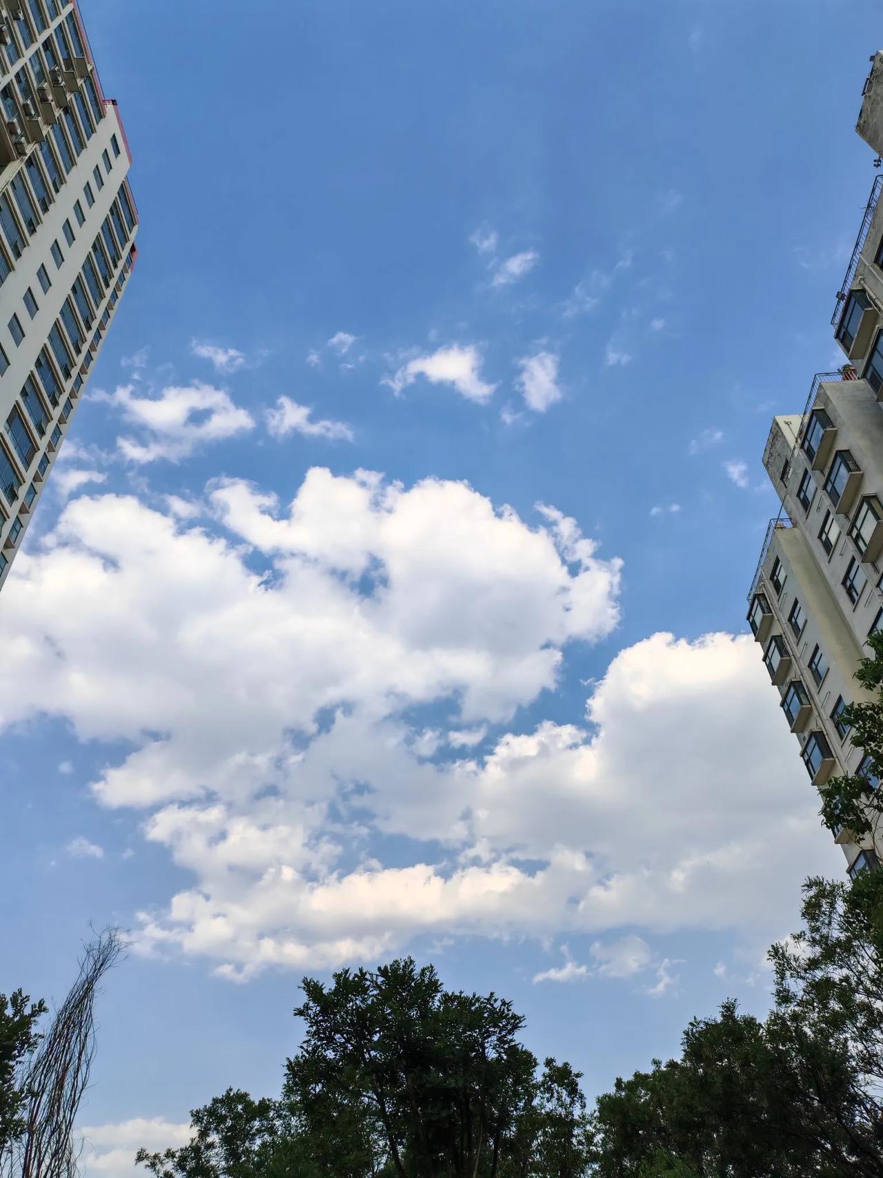 真是太神奇了！孙子上幼儿园大班，他们班有个自闭症儿童。这个孩子不是特别严重，