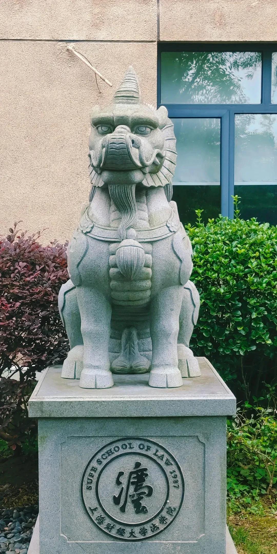 上财法硕，投了1000+简历，没有一个面试上财法硕，普本，同年一次性通过司法考