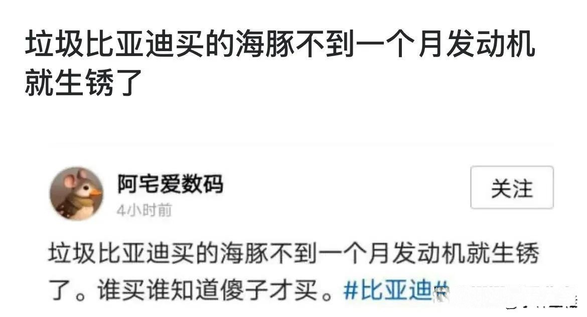 博主：“垃圾比亚迪，海豚买了不到一个月，发动机就生锈了！”比亚迪海豚：“对、对