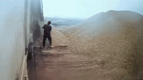 他好像也不怎么想活