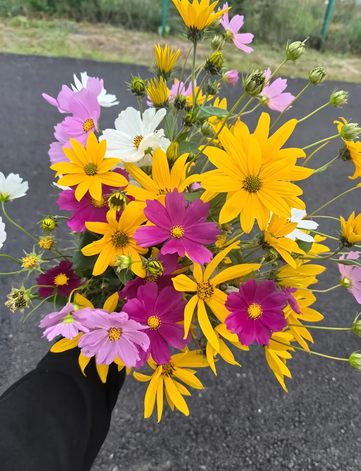 生活不论好坏，每天都是限量版，永远乐观自信，永远积极向上，别让世俗，淹没了生活的