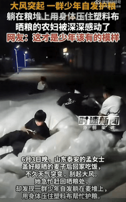这才是少年最好的模样！山东泰安，孟女士把晒完的小麦盖好塑料布后回家吃饭，刚走没多