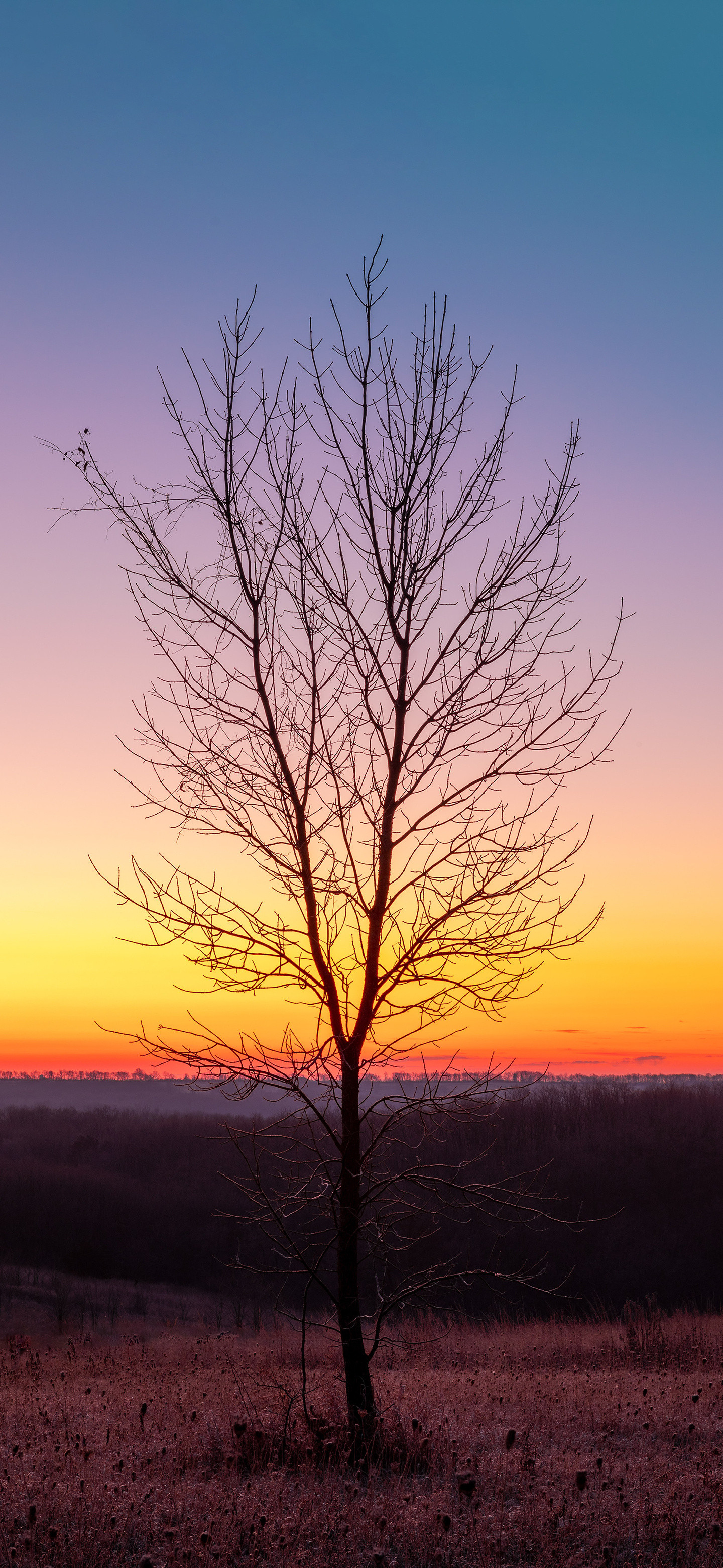 小伙伴们早啊～今日份风景壁纸已送达风景壁纸