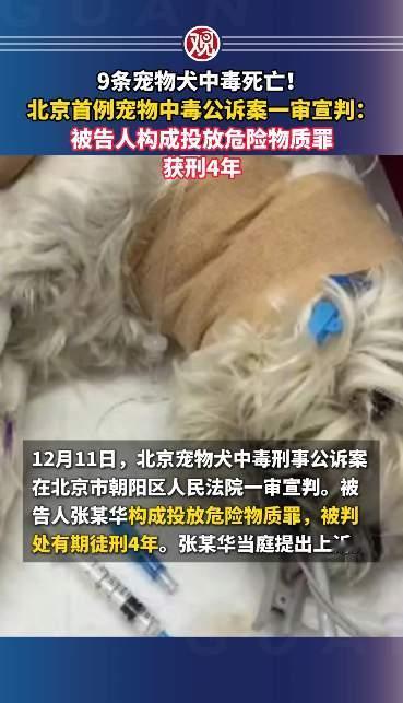 确实解气，代价太大！投毒有罪，这是不争的事实。灭鼠药混入食物，甚至威