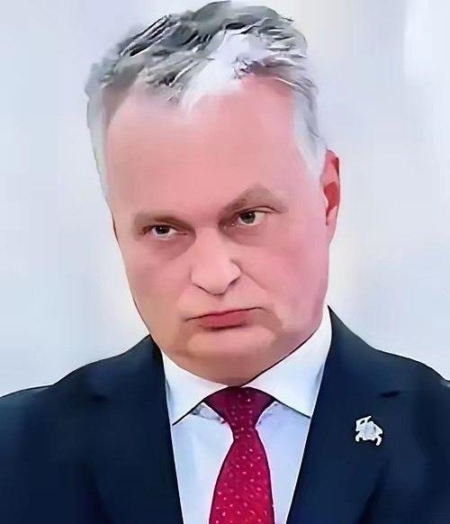 真活久见！立陶宛总统瑙塞达这波操作，简直把“甩锅”玩出了新高度。2月12日