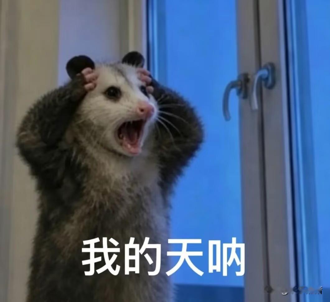 在小姨家，都在聊天的时候小姨夫从超市拎着个大袋子回来了。表弟媳站起来接过袋子从里