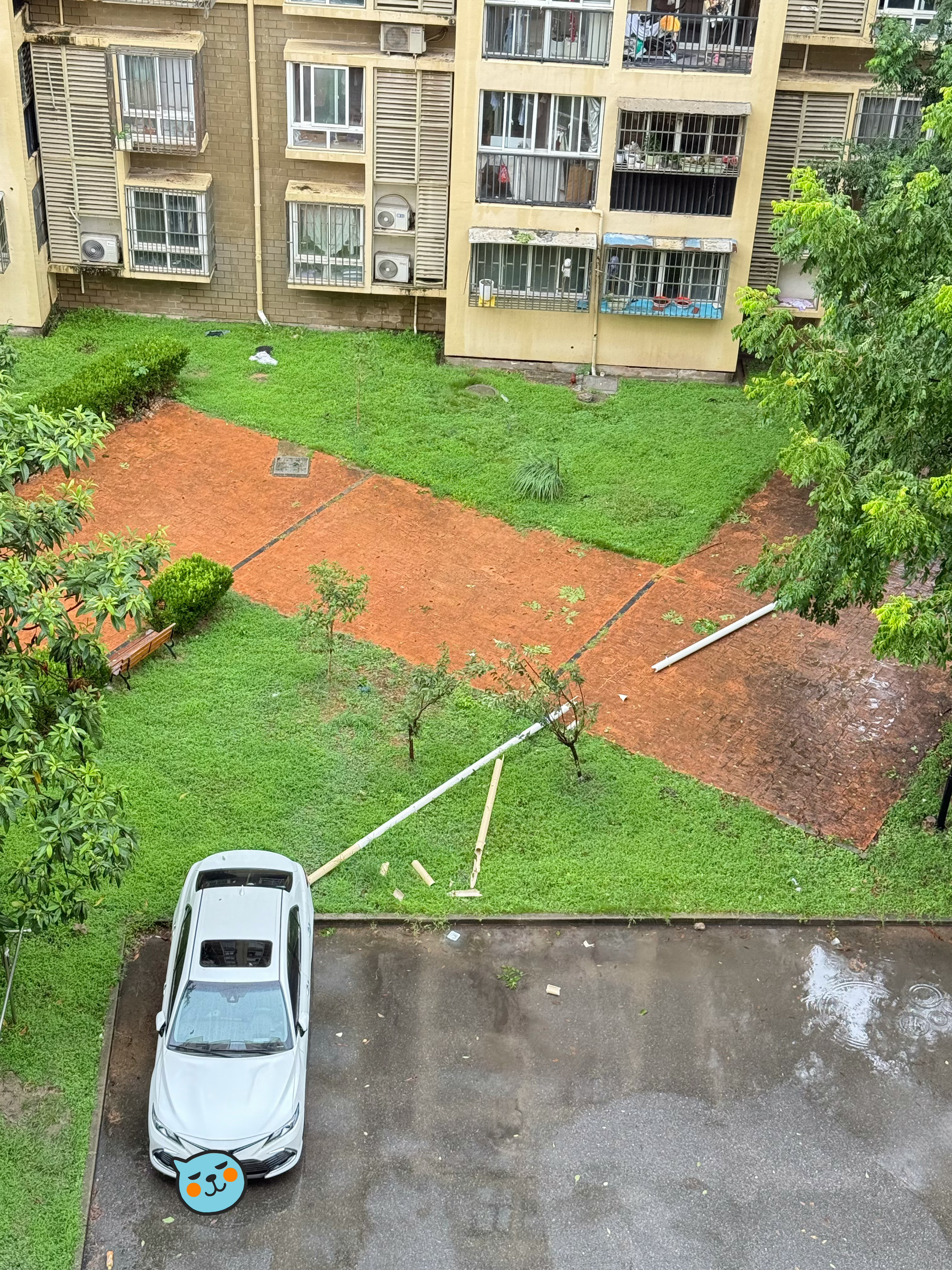 上海极端强降雨早上起来看还是好好的周围都停满了车现在看一眼车全开走了下楼确认了还