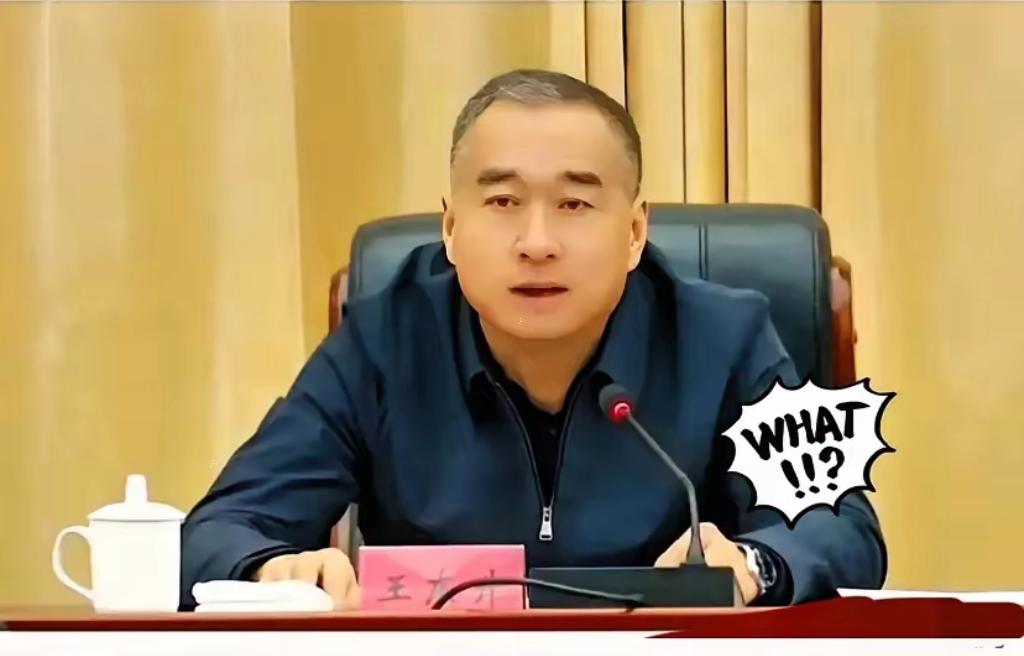 消息一出，朋友圈炸了。王东升被查，很多人第一反应是：不会吧？那个天天跑项目、搞
