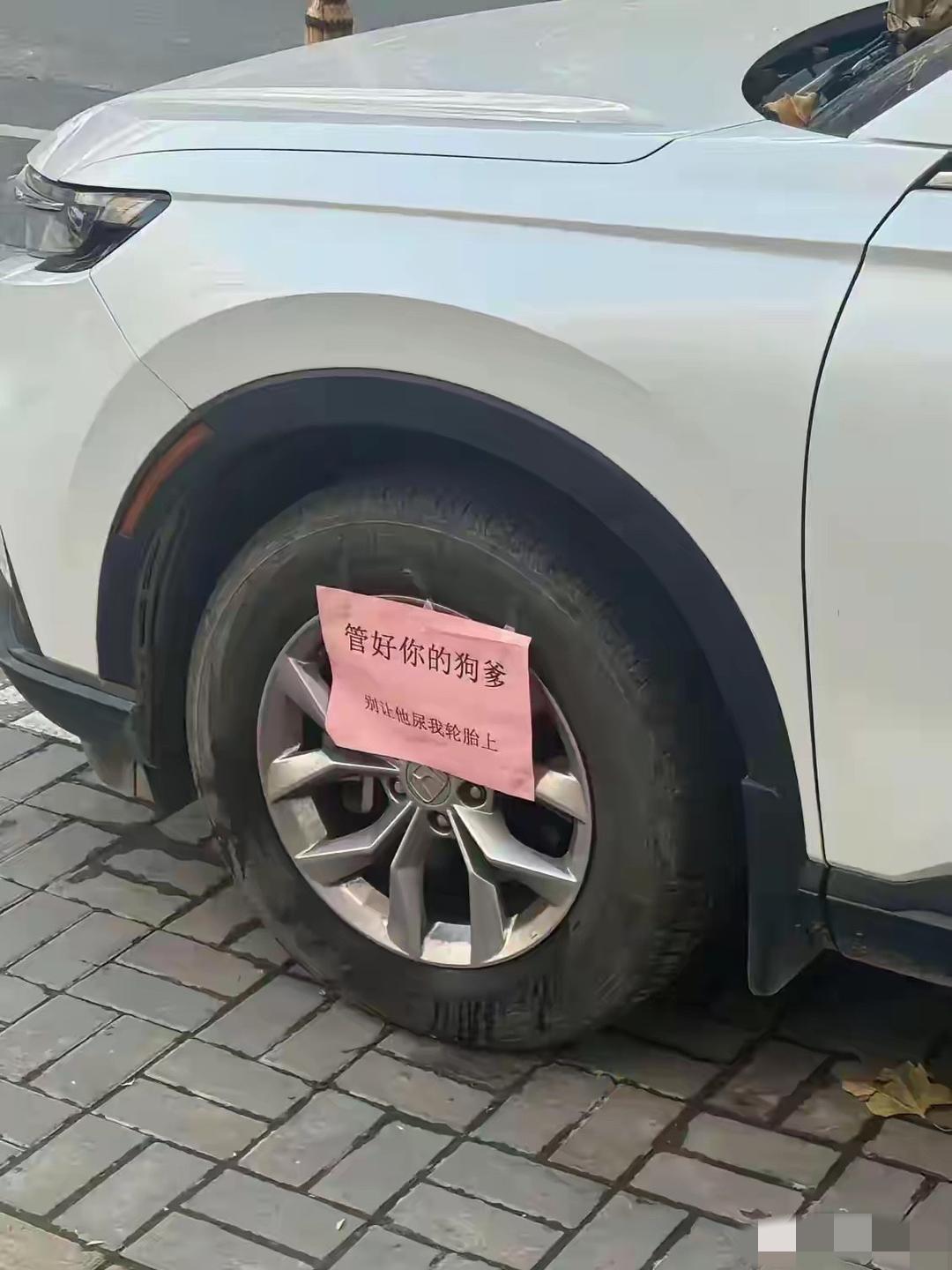 多大一点事嘛，这也骂别人不好吧