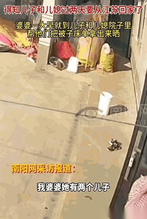 刷手机刷到个监控，直接给我看破防了。小两口打电话跟妈说要回家，第二天，老太太自