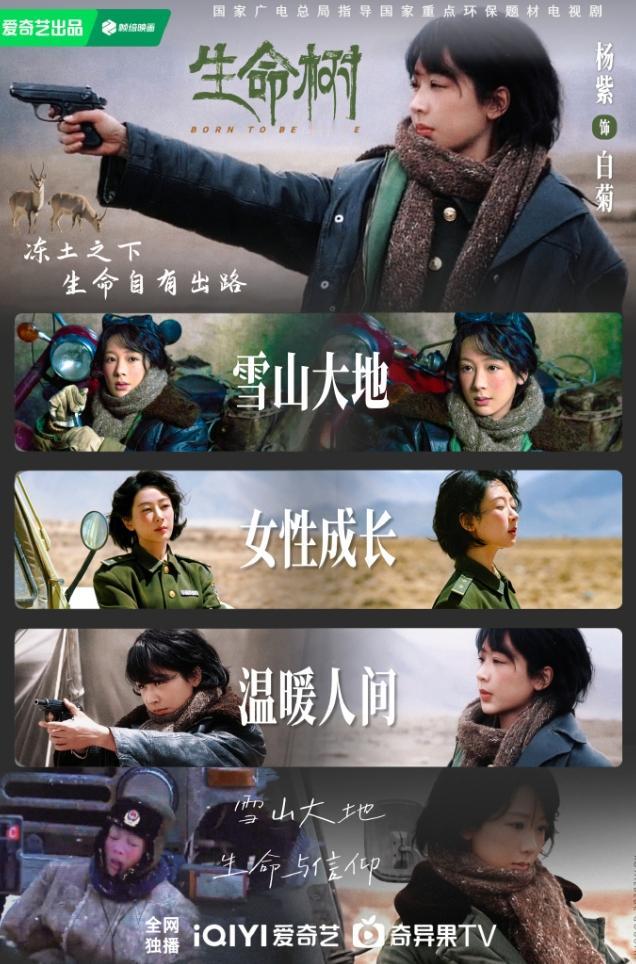 杨紫为了这部《生命树》付出还挺大的为了这部剧，她今年减少了很多工作，代言也只官