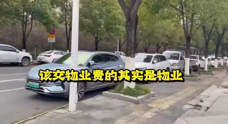我们的物业费，是否交反了？物业费确实是交反了，物业公司进驻小区，利用业主的资