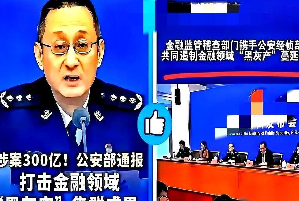 公安部亲自下场掀桌子了。一句话挑明：甭管你包装成什么“金融科技”“财富密码”