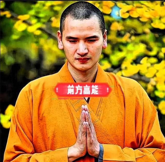 刚查了一下释明心，不查不知道，原来释明心与释永信，是一个天差地别的两个人。