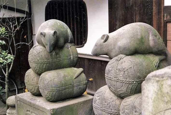 日本中世佛教对猫有嫌忌，这种观念可能来自于印度。相反，佛教或者印度民间故事对老鼠